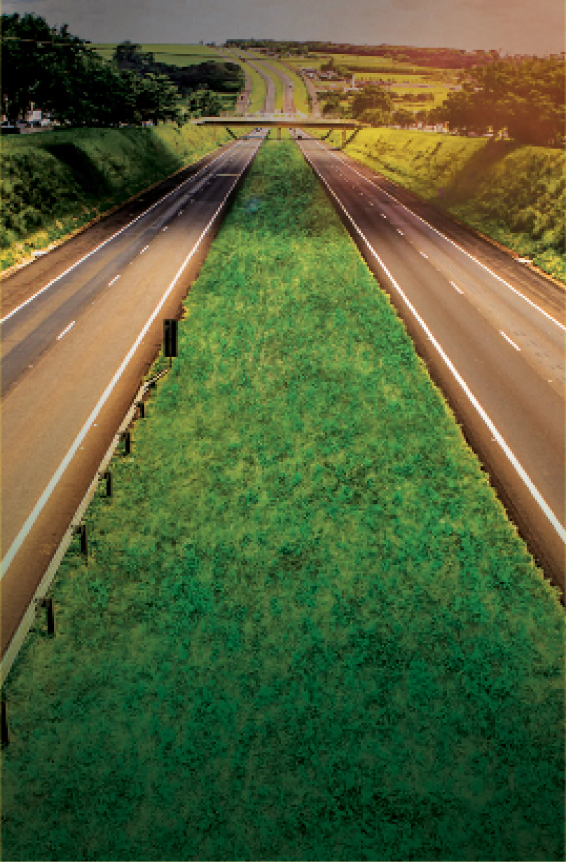 Rodovia com destaque ao canteiro central com grama verde.